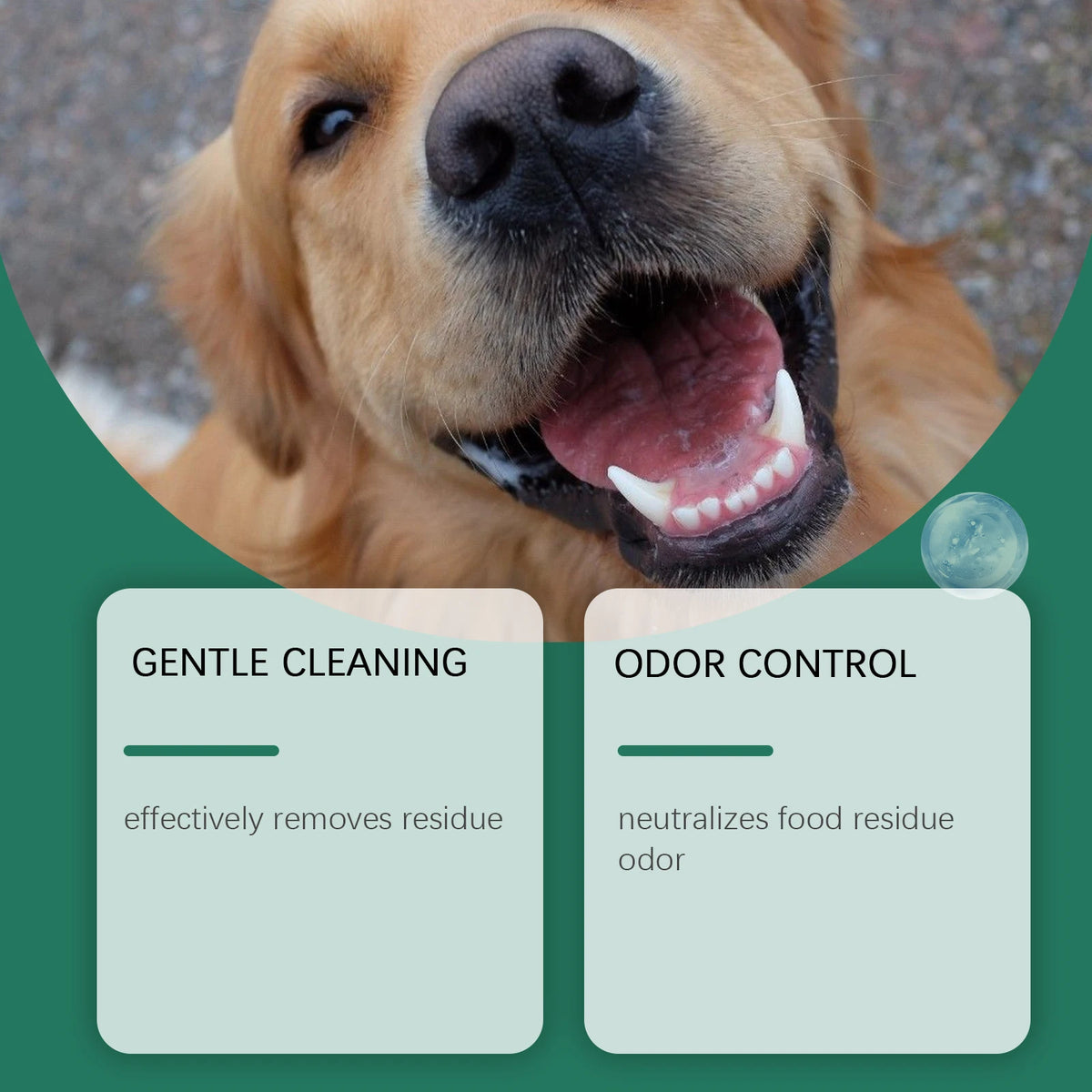 Natural Dog Teeth Cleaning Powder