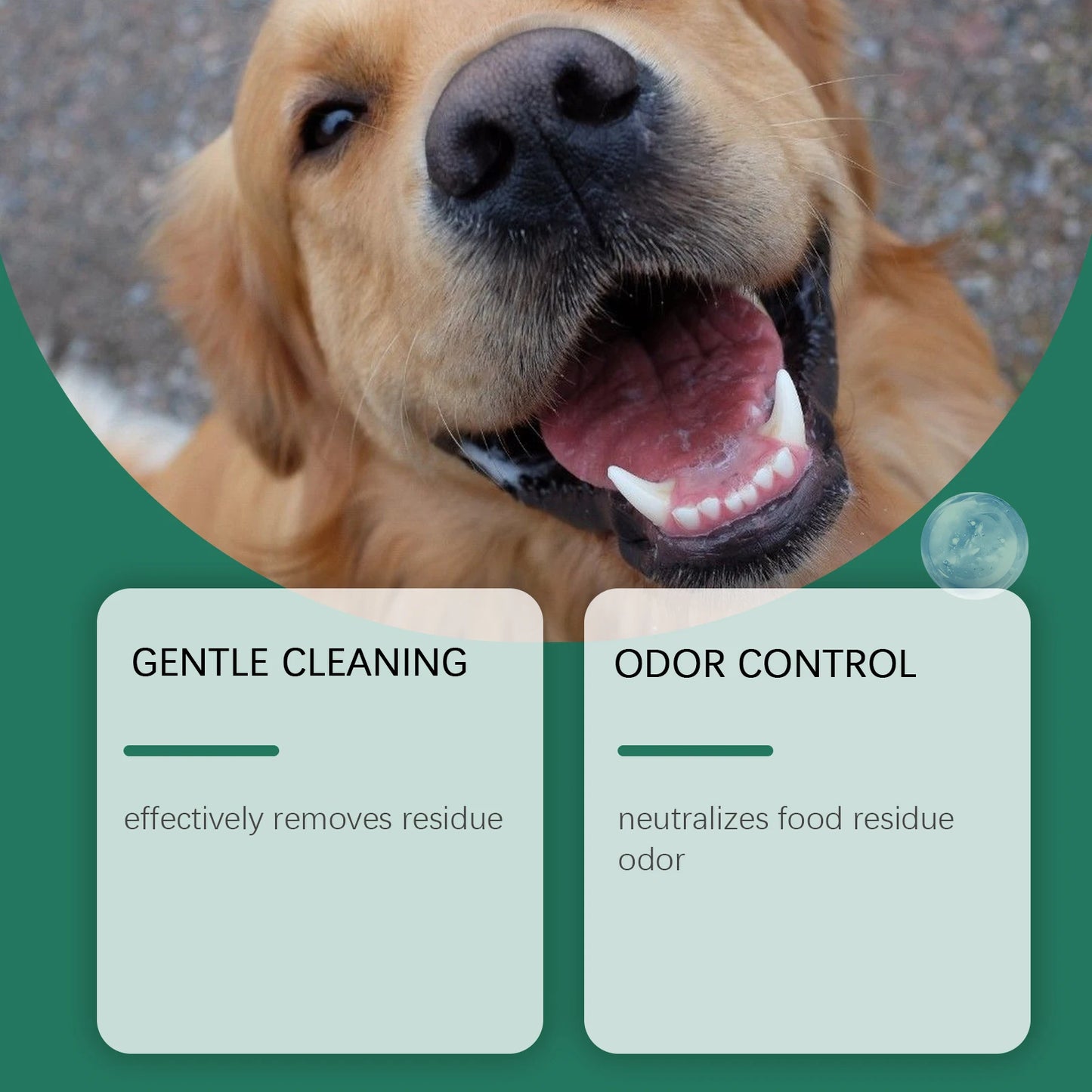 Natural Dog Teeth Cleaning Powder